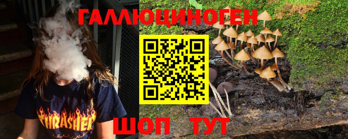 Псилоцибиновые грибы Magic Shrooms  Вход с VPN  Зима 